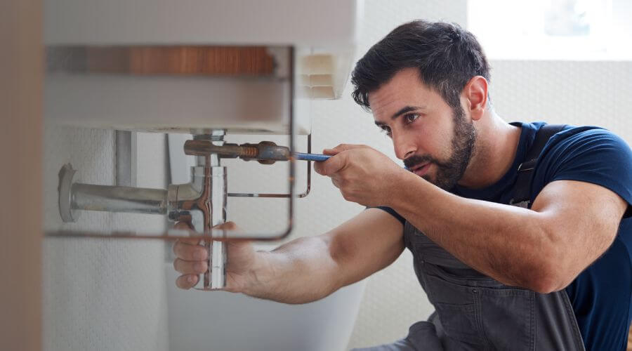 Trap Repair/Replacement in Clarklake, MI